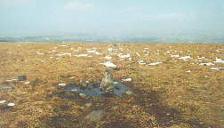 [remnants of a stone circle]
