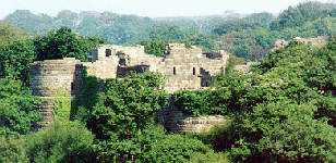 [castle ruins in trees]